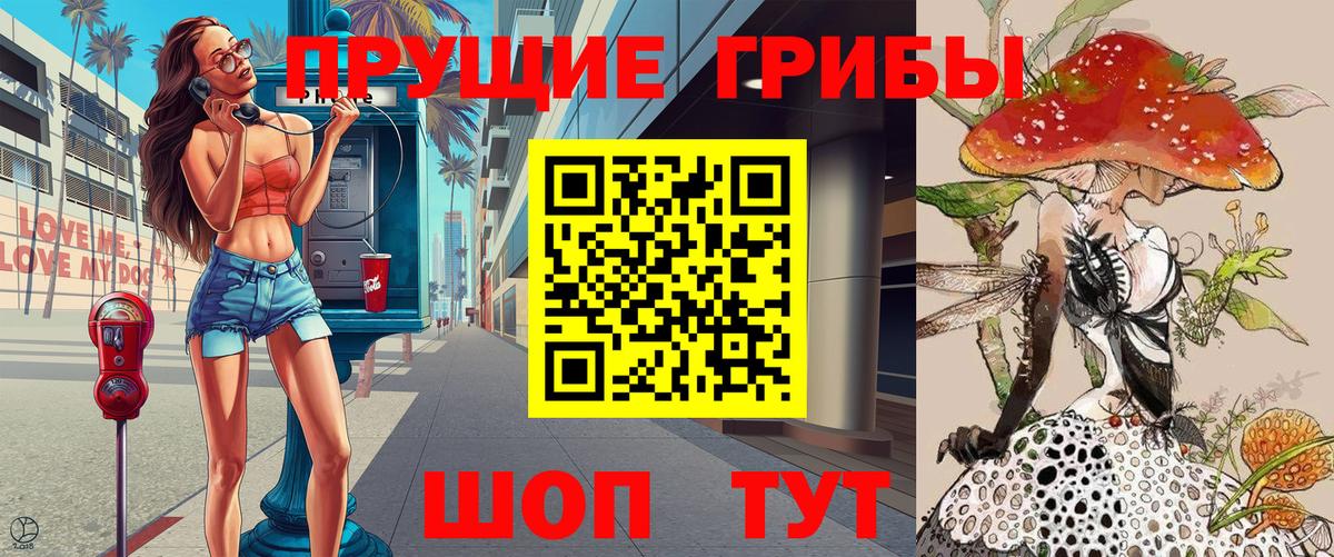 Тара  Псилоцибиновые грибы Psilocybe  Вход с VPN 