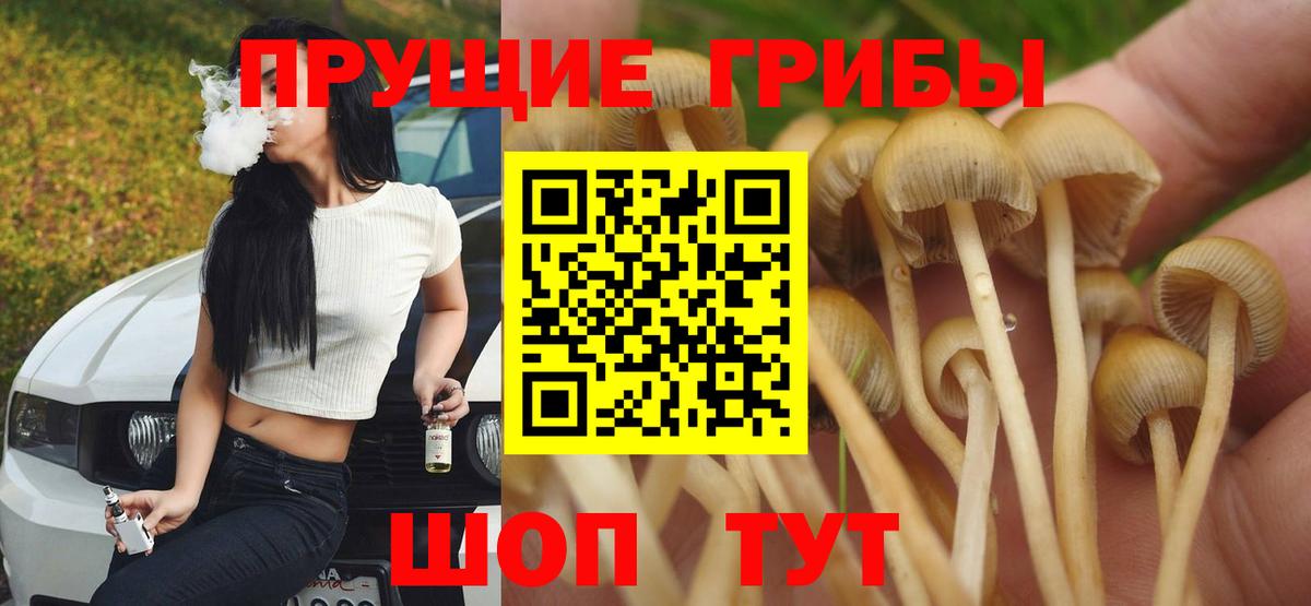 Галлюциногенные грибы прущие грибы Тара